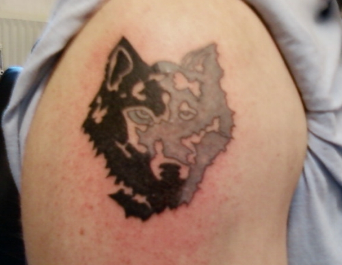 tattoo wolf. Wolf Tattoo Restoration